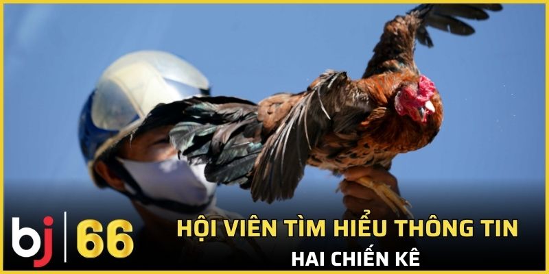 Hội viên cần chủ động tìm hiểu thông tin 2 chiến binh để tránh rủi ro