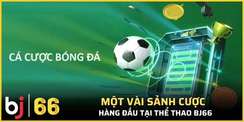Một vài sảnh cược hàng đầu tại thể thao Bj66